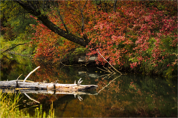 Autumn / ***