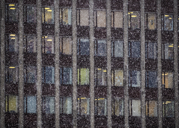 Snow / ***