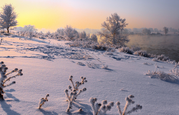 Landscape / ***