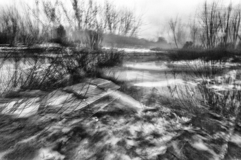 Life around / ***