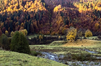 Autumn in the mountains. / ***
