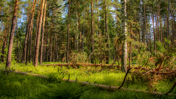 After Hurricane / ***