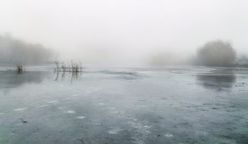 winter fog / ***