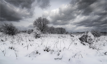 Winter / ***