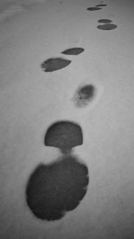 &nbsp; / 7 Artisans 25mm.