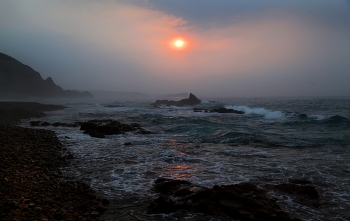 Foggy morning / ***