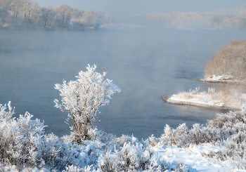 In the frosty mist / ***