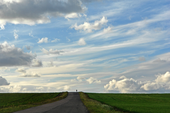 The lonely traveler / ***