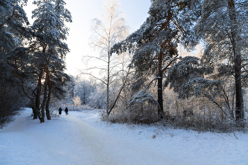 Winter in the Park / ***