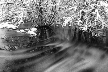 Life around / ***