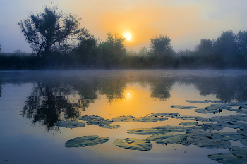 Dawn on the lake. / ***