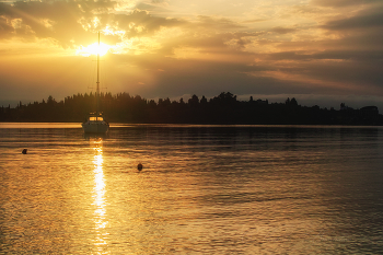 In the morning light / ***