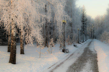 Frosty evening / ***