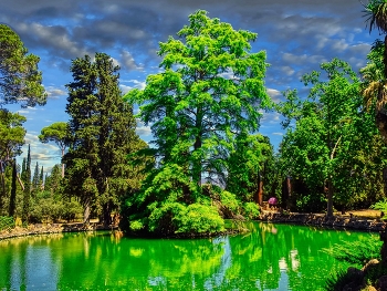 Vinyols i els Arcs - estany al Parc Samà - Baix Camp / Vinyols i els Arcs - estany al Parc Samà - Baix Camp