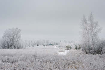 Frost / ***