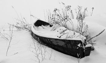 Hibernation / ***