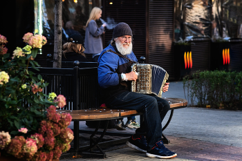 Street musician / ***