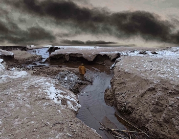 The Grand Canyon / ***