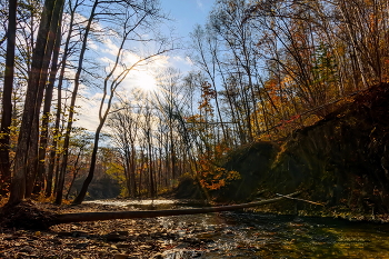 Sunrise over the river / ***
