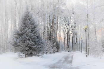 Winter in the Park / ***