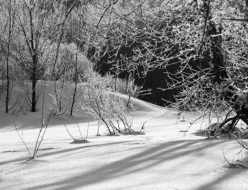 Winter etude / ***
