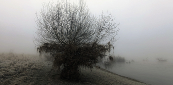 At the water / ***