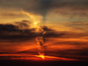 Arrival / ***