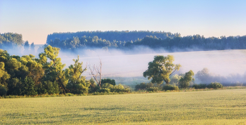 In the misty haze / ***