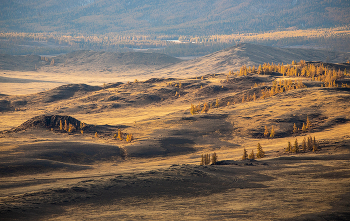 Foothills / ***