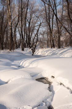Spring is coming! / ***
