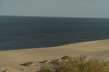 The Curonian Spit / ***
