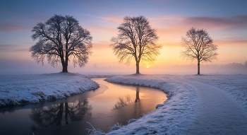 Winter silence / ***
