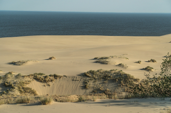 The Curonian Spit / ***