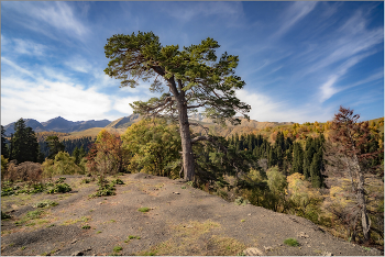 On Seven Winds / ***