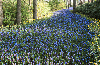 Happy Holidays! / ***