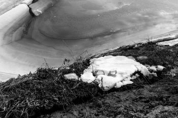 Life around / ***