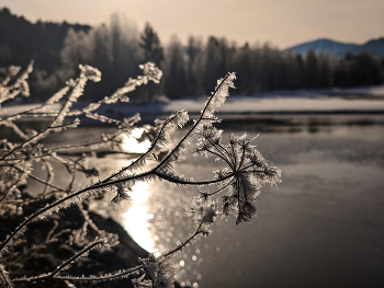 Hoarfrost / ***