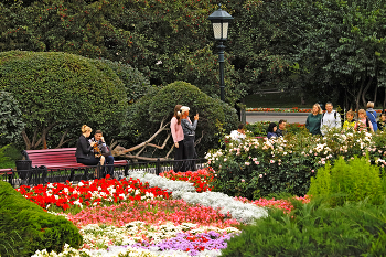 In Alexander's Garden / ***