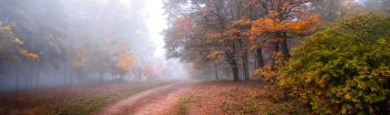about autumn / ***