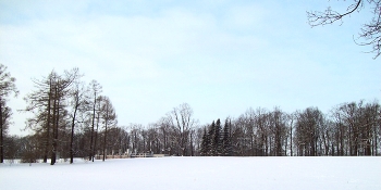 In Tsarskoye Selo / ***