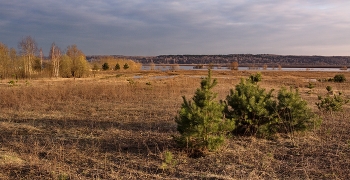 Evening Landscape / ***