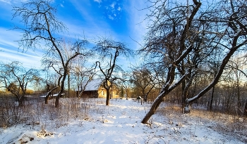 Winter has returned / ***