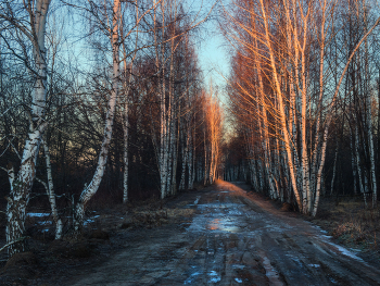 With the first rays / ***