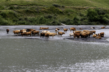 Watering place / ***