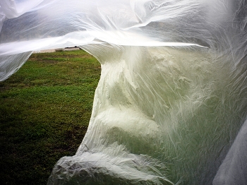 With a breeze! / ***