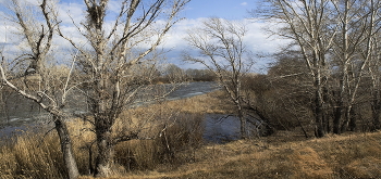 The ice was broken / ***