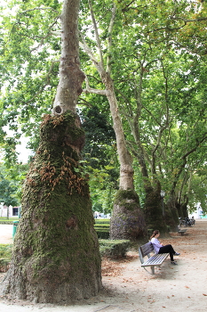 Lisbon sketches / ***