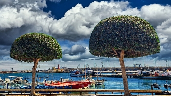 Cambrils - port deportiu - Baix Camp / Cambrils - port deportiu - Baix Camp