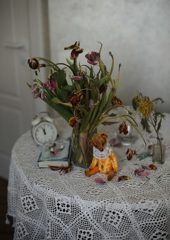 &nbsp; / ...................................