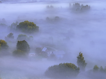 Cottage in the mist / ***